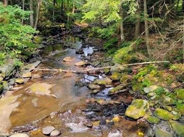 Land for sale in New Hampshire