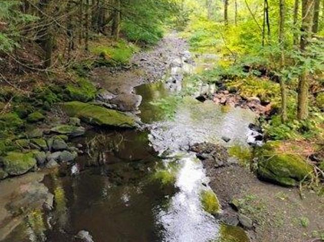 Land for sale in New Hampshire