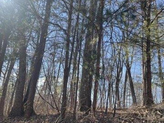Land for sale in Tennessee