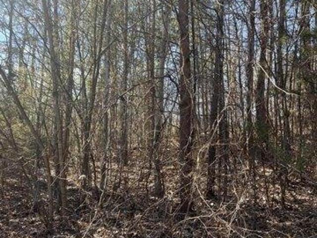 Land for sale in Tennessee