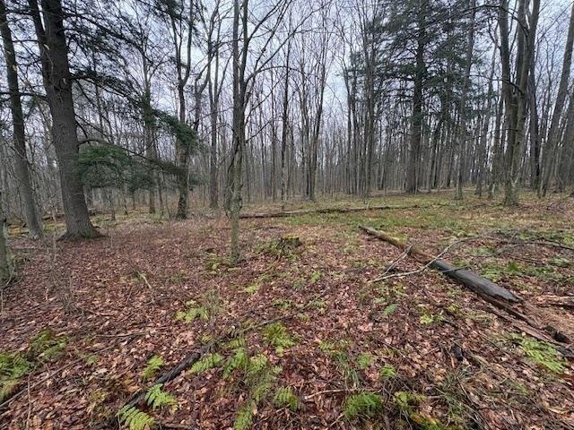 Land for sale in Pennsylvania
