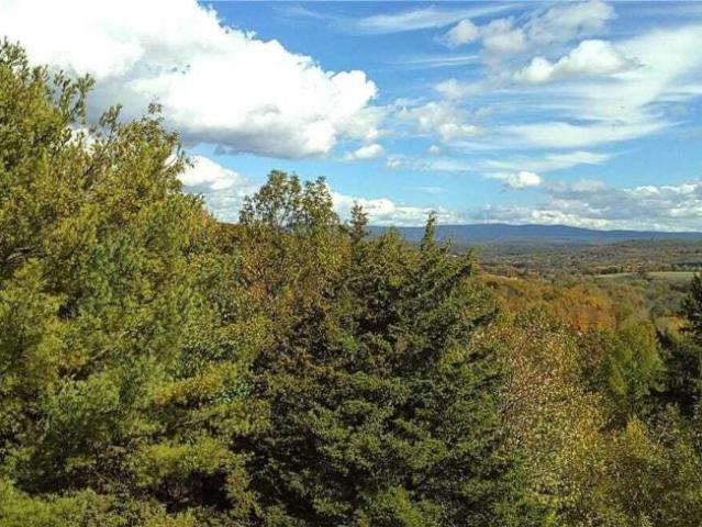 Land for sale in New York