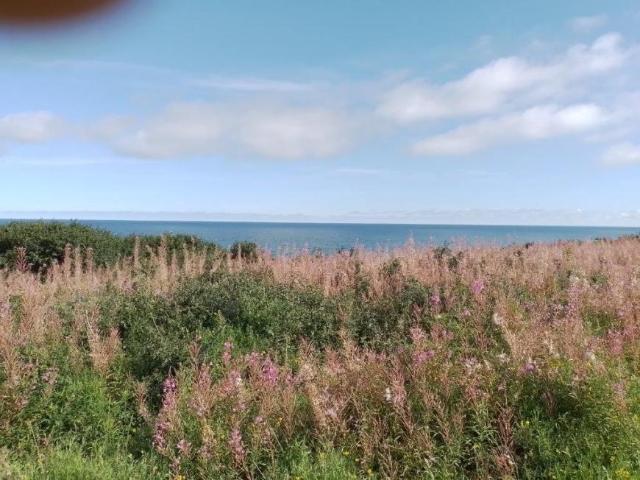 Land for sale in Bandon, South Tipperary