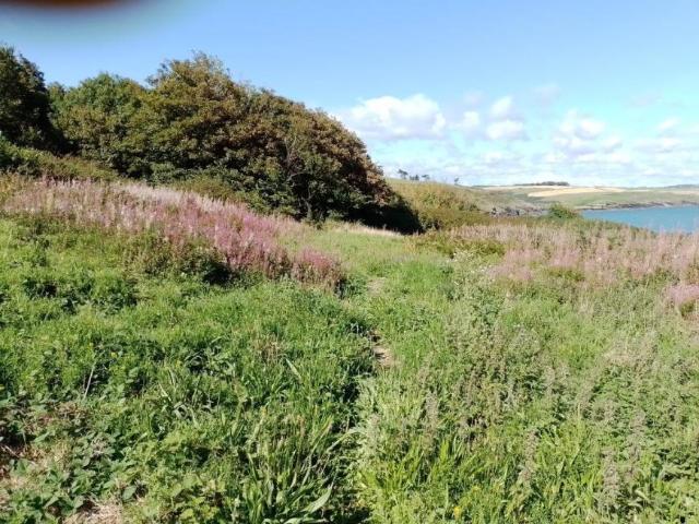 Land for sale in Bandon, South Tipperary