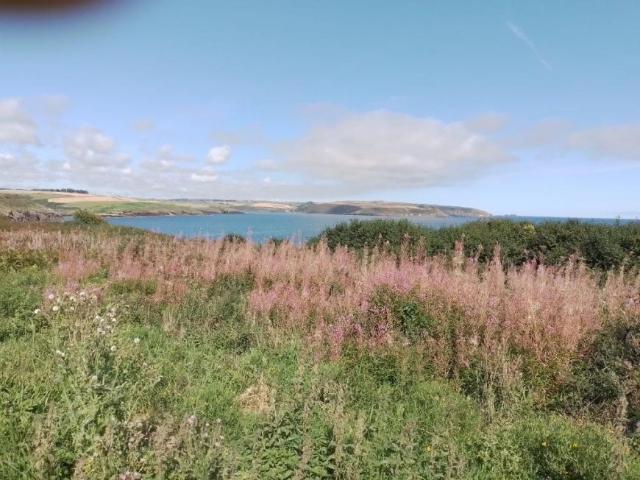 Land for sale in Bandon, South Tipperary
