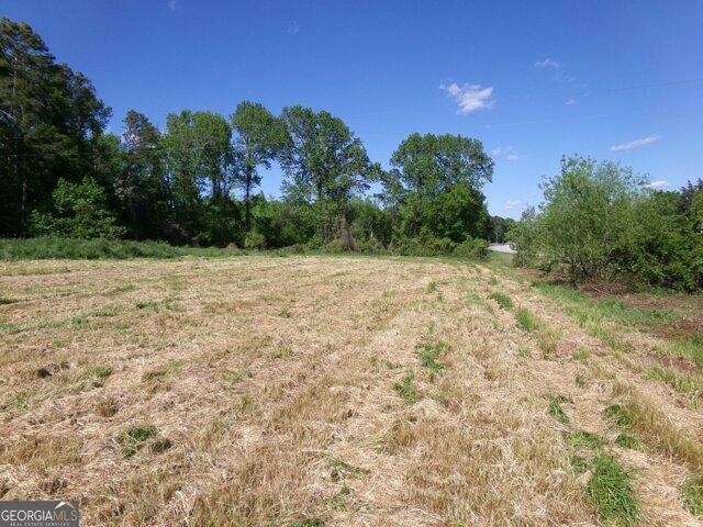 Land for sale in Georgia