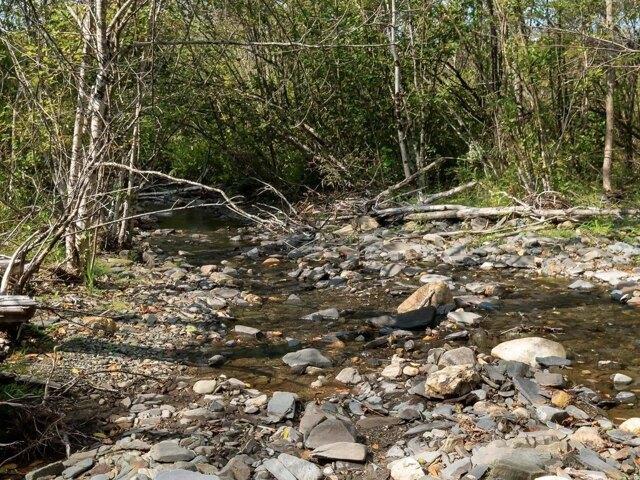 Land for sale in Craftsbury, Vermont