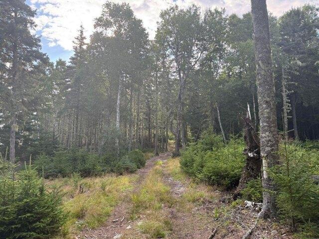 Land for sale in Cranberry Isles, Maine