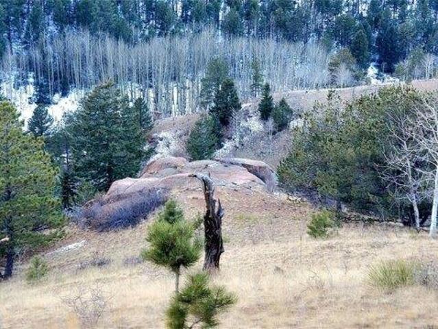 Land for sale in Teller, Colorado
