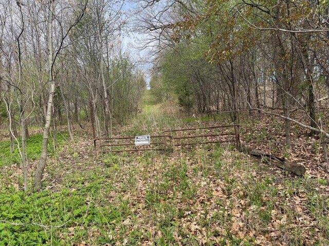 Land for sale in Cross Plains, Wisconsin