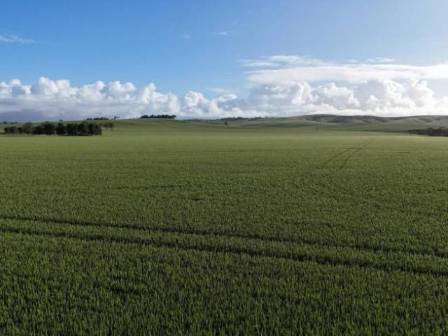 Land for sale in Crystal Brook, South Australia