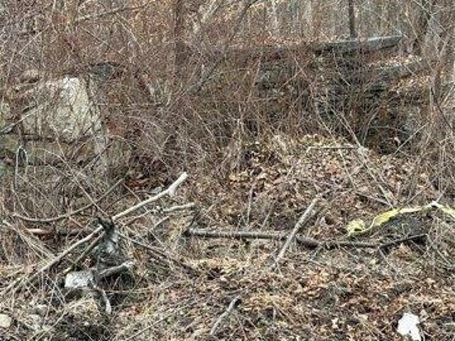 Land for sale in New York