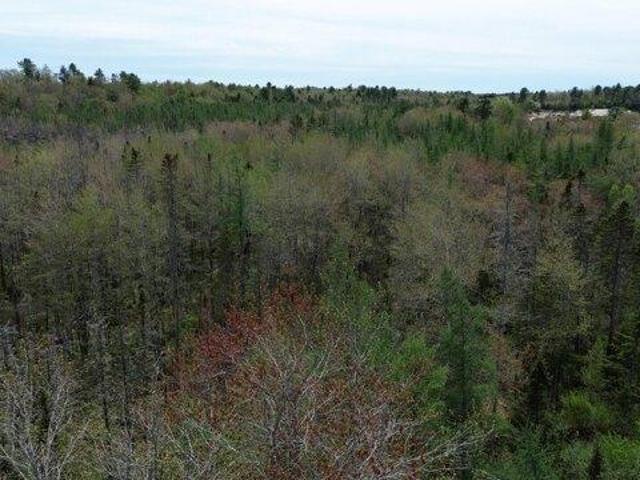 Land for sale in Cushing, Maine