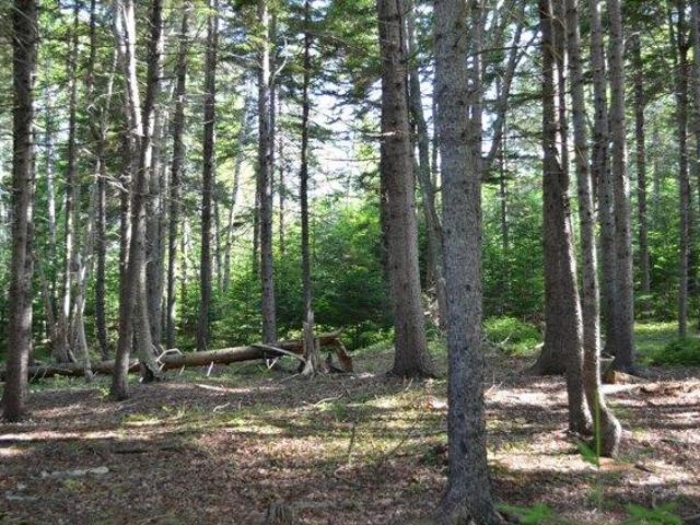 Land for sale in Cushing, Maine