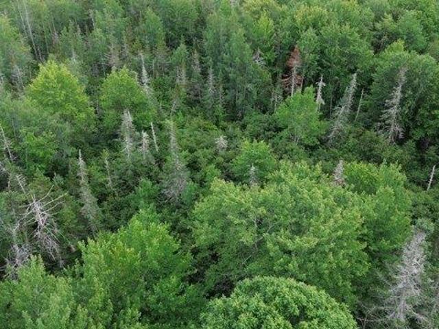 Land for sale in Cushing, Maine