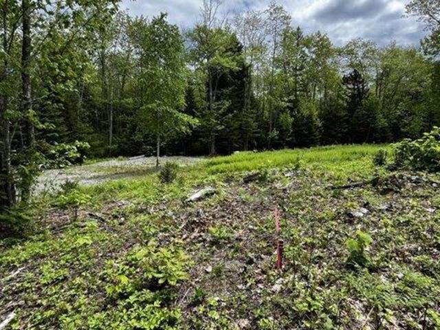 Land for sale in Cushing, Knox County