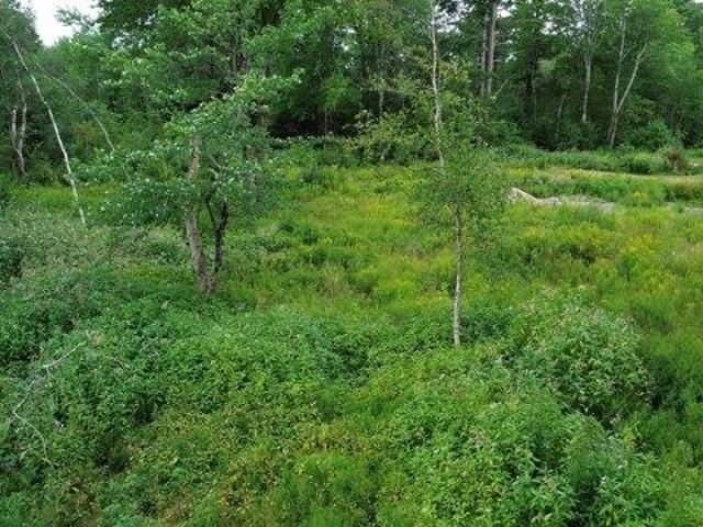 Land for sale in Cushing, Knox County