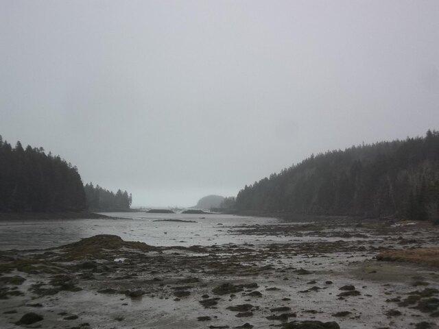 Land for sale in Cutler, Maine
