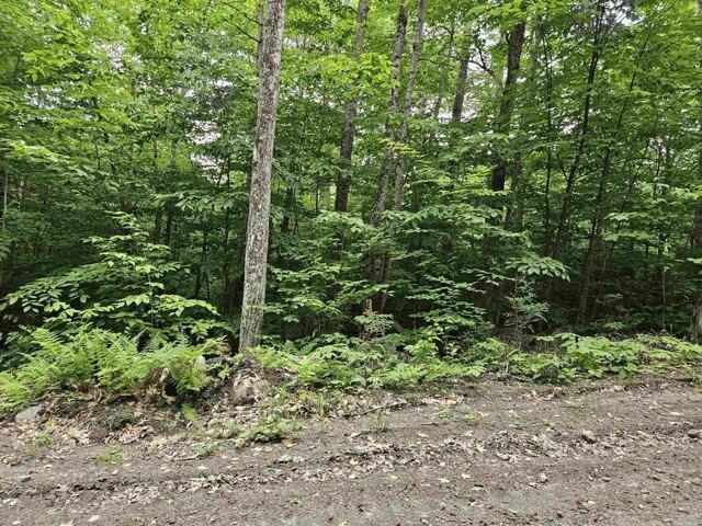 Land for sale in New Hampshire