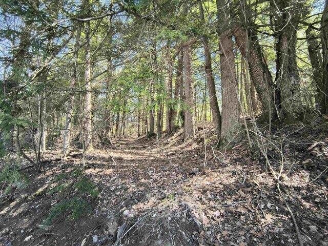 Land for sale in New Hampshire