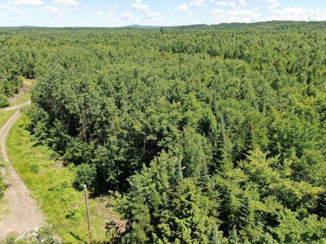 Land for sale in Danforth, Maine