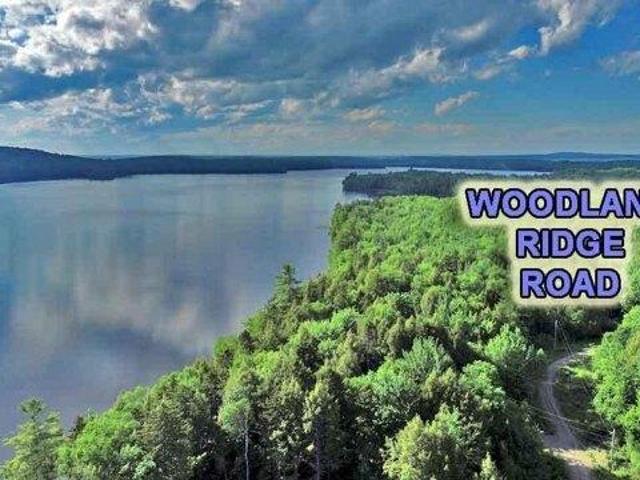 Land for sale in Danforth, Maine