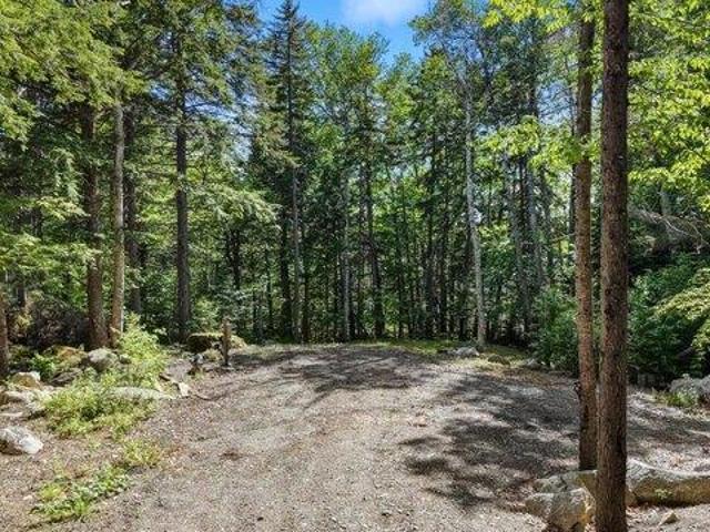 Land for sale in Danforth, Maine