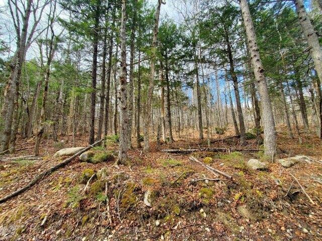 Land for sale in Danforth, Maine