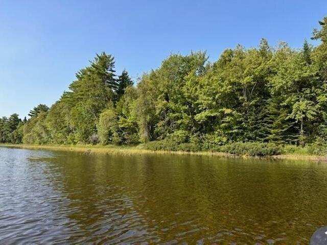 Land for sale in Danforth, Maine