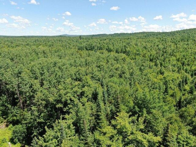 Land for sale in Danforth, Maine