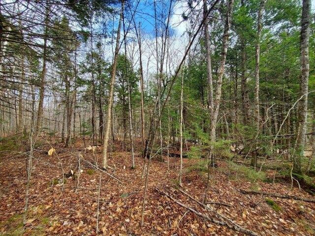 Land for sale in Danforth, Maine