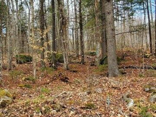 Land for sale in Danforth, Maine