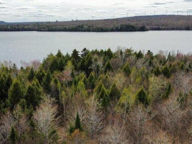 Land for sale in Danforth, Maine