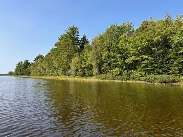 Land for sale in Danforth, Maine