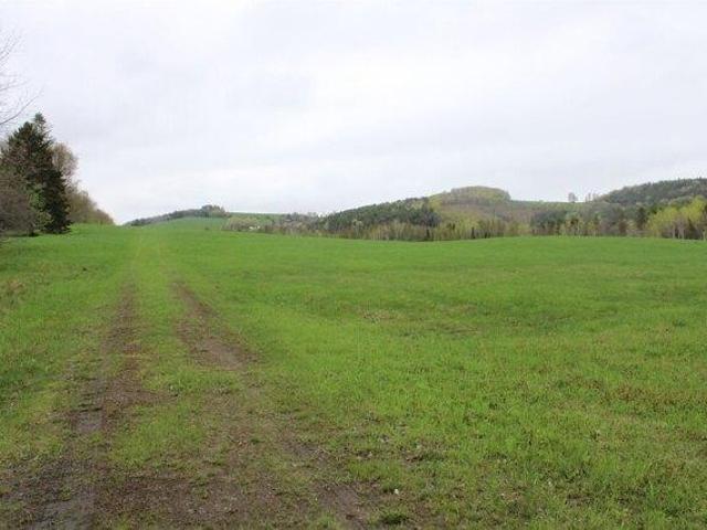 Land for sale in Danville, Vermont