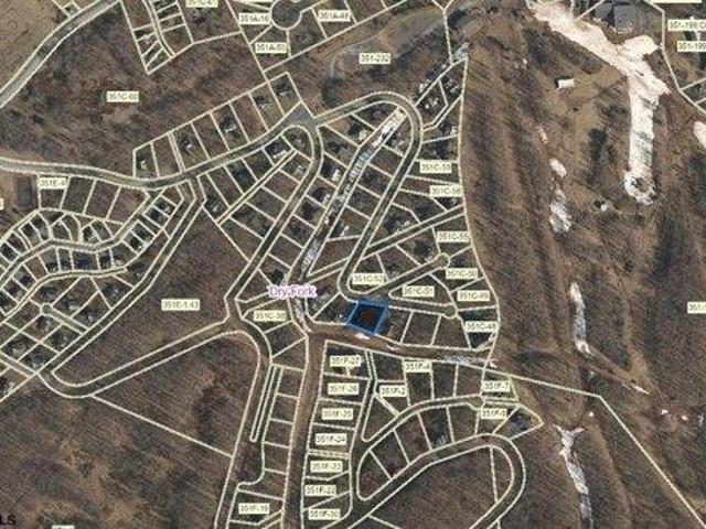 Land for sale in Davis, West Virginia