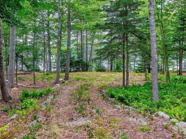 Land for sale in Deer Isle, Maine
