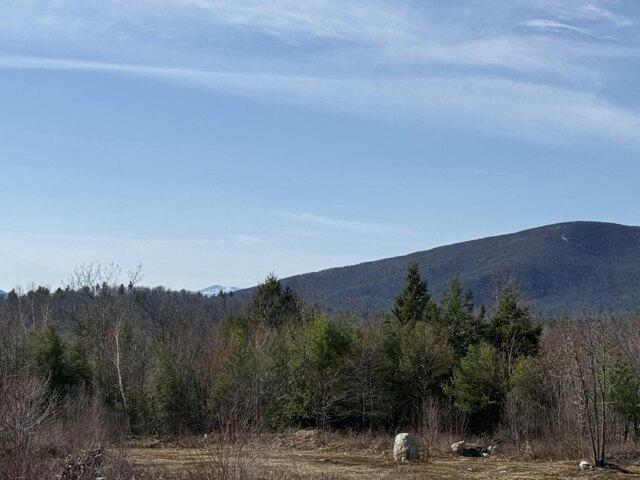Land for sale in Denmark, Maine
