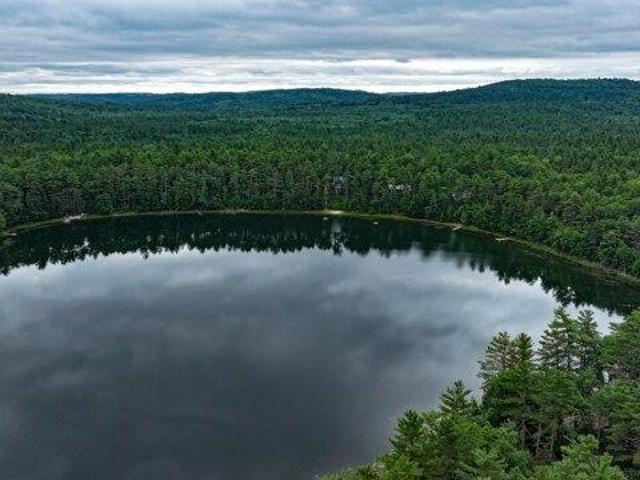 Land for sale in Denmark, Maine