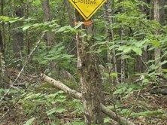 Land for sale in Denmark, Maine