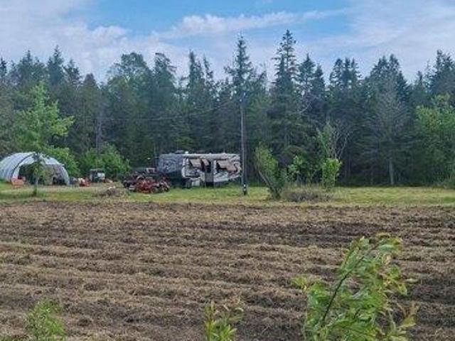 Land for sale in Dennysville, Maine