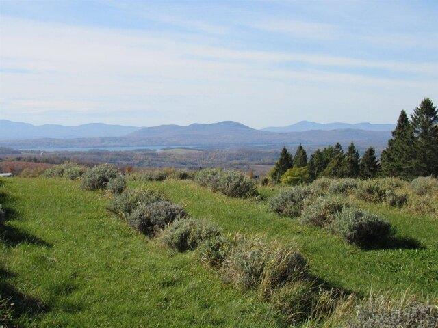 Land for sale in Derby, Vermont