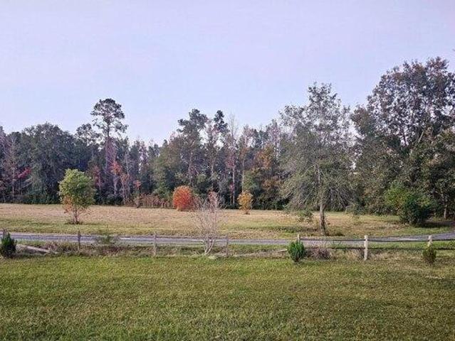 Land for sale in Deridder, Louisiana