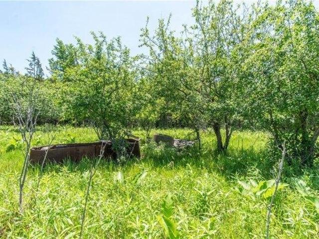 Land for sale in New York