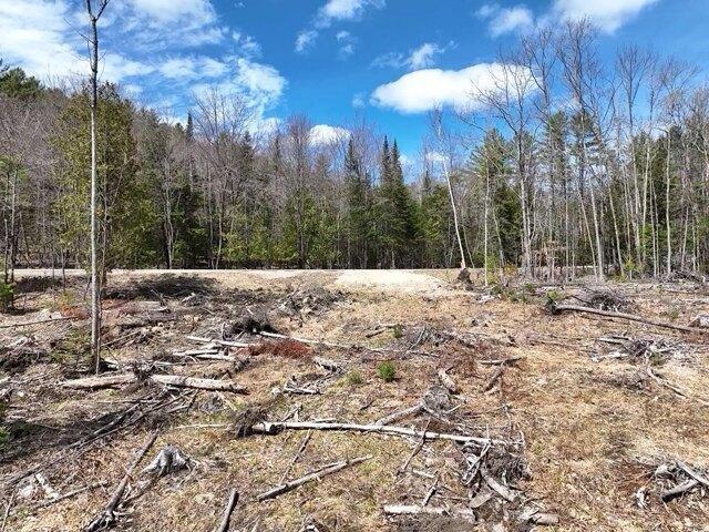 Land for sale in Dixfield, Maine