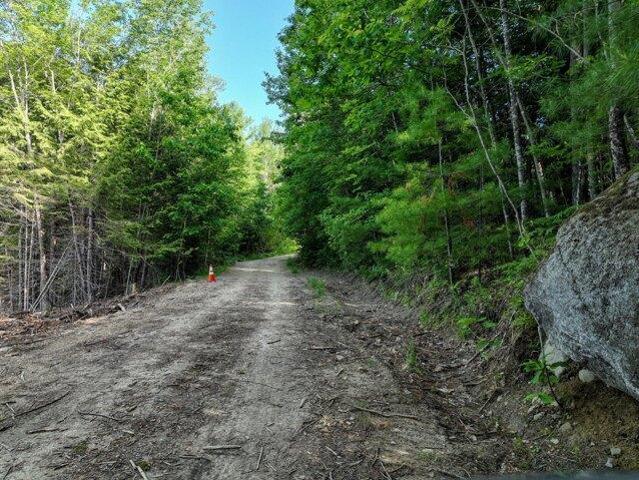 Land for sale in Dixfield, Maine