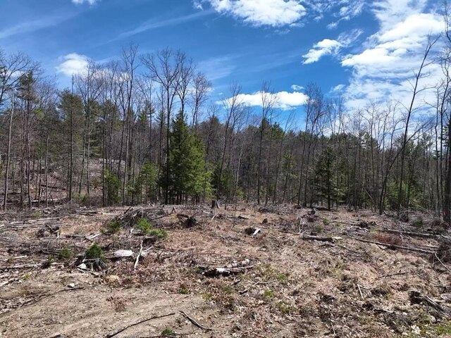 Land for sale in Dixfield, Maine