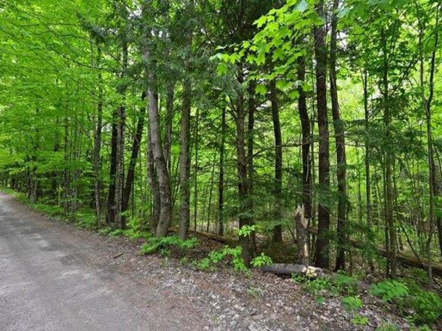 Land for sale in Dixfield, Maine