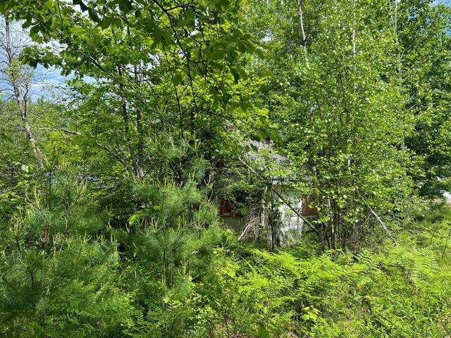 Land for sale in Dixfield, Maine