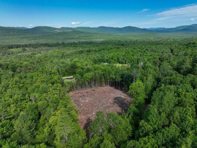 Land for sale in Dixfield, Maine